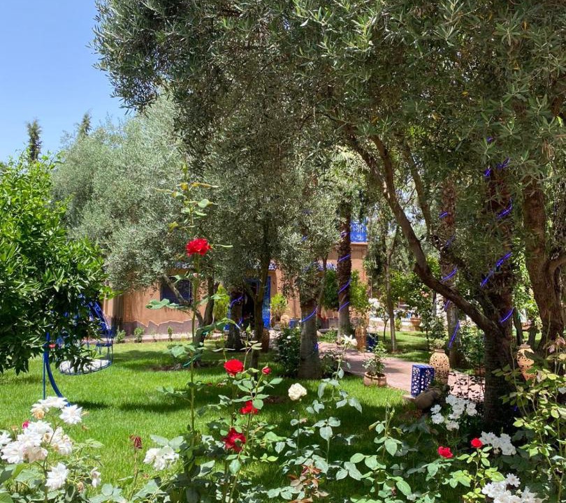 Photo of Outdoor in Agdal
