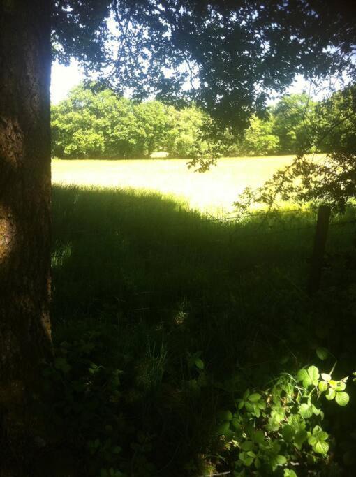 Photo of Others in Chepstow