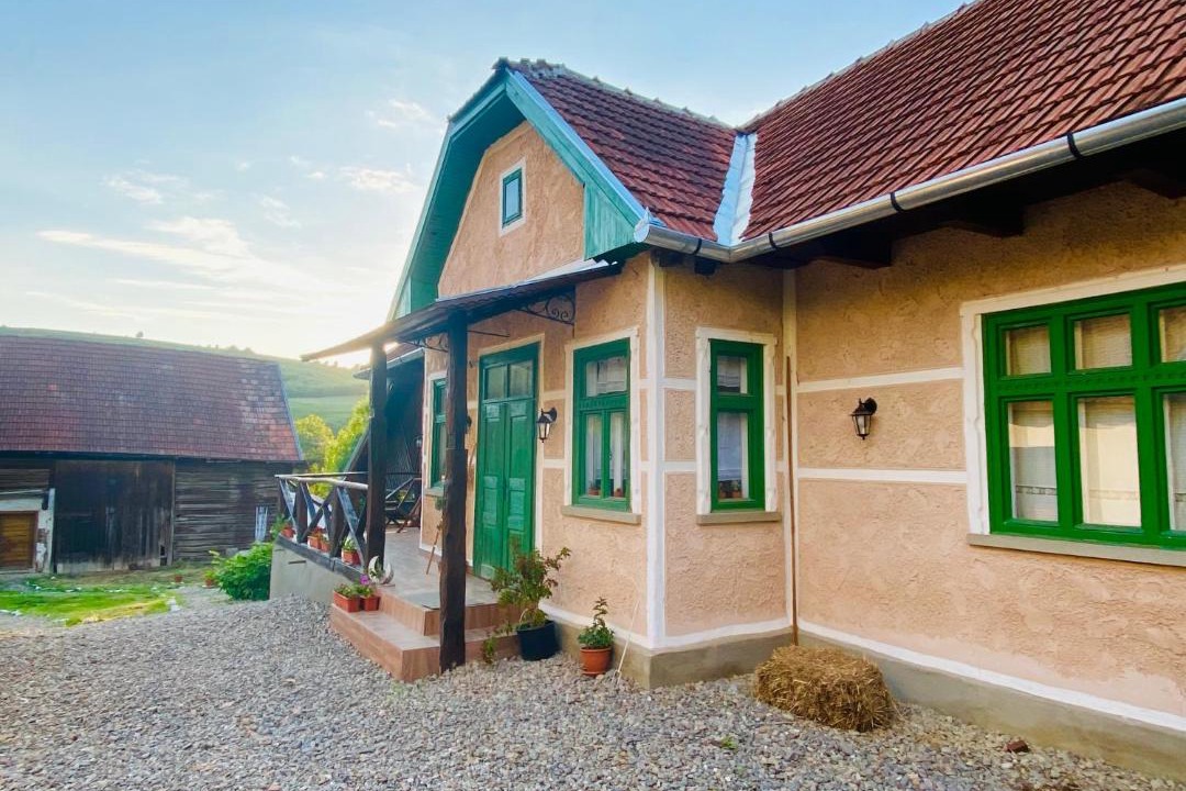 Photo of Others in Borosneu Mare