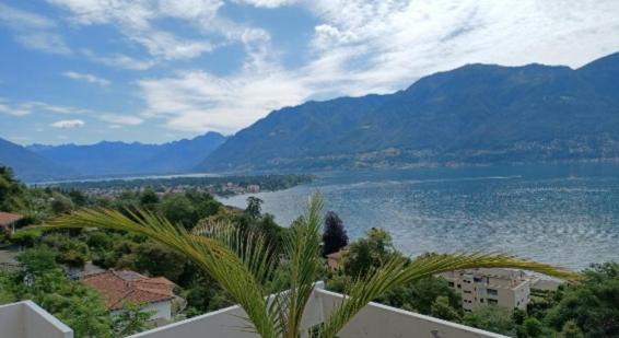 Photo of Others in Ascona