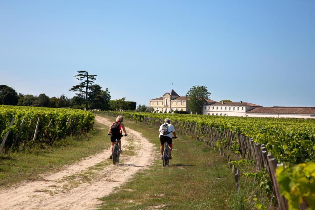 Photo of Others in Le Pian-Medoc
