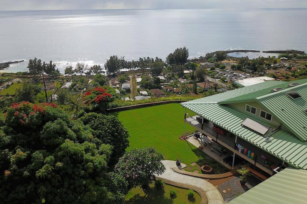 Photo of Others in Pupukea