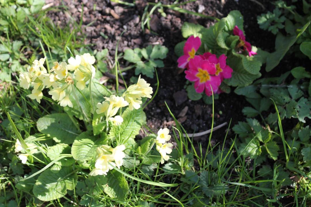 Photo of Outdoor in Gemarkung Oberdigisheim