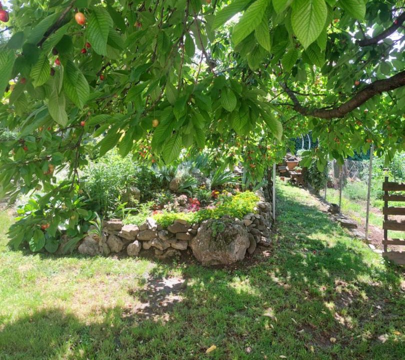 Photo of Outdoor in Tihany
