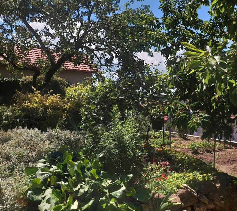 Photo of Outdoor in Tihany