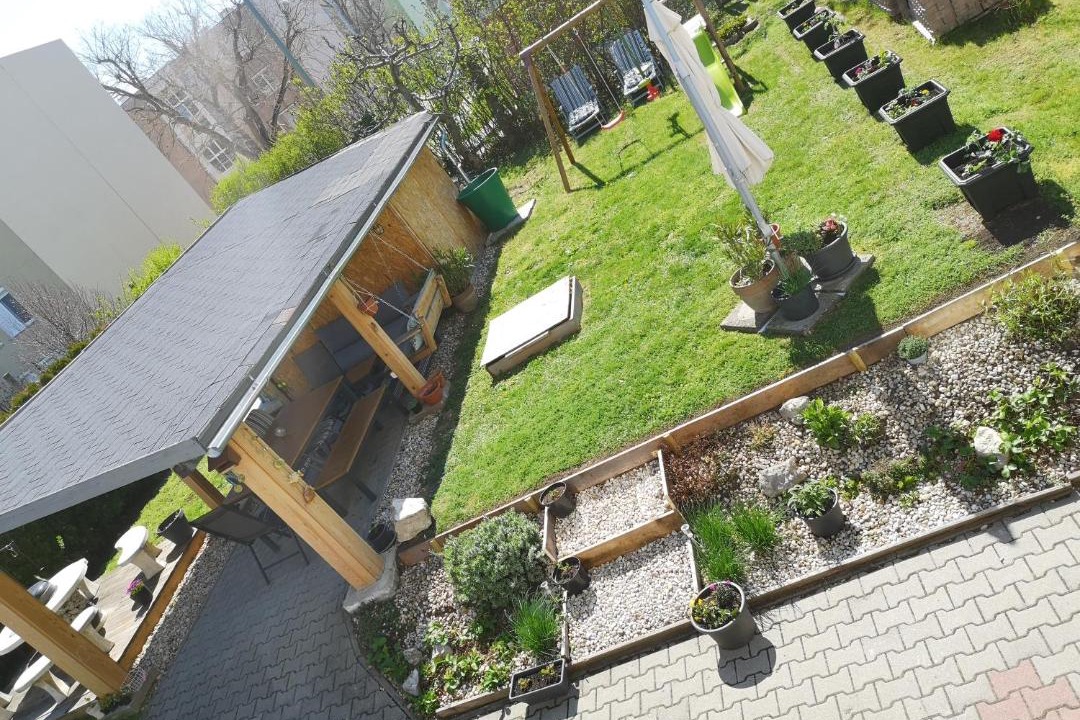 Photo of Others in Balatonfured