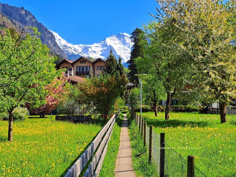 Photo of Others in Wilderswil