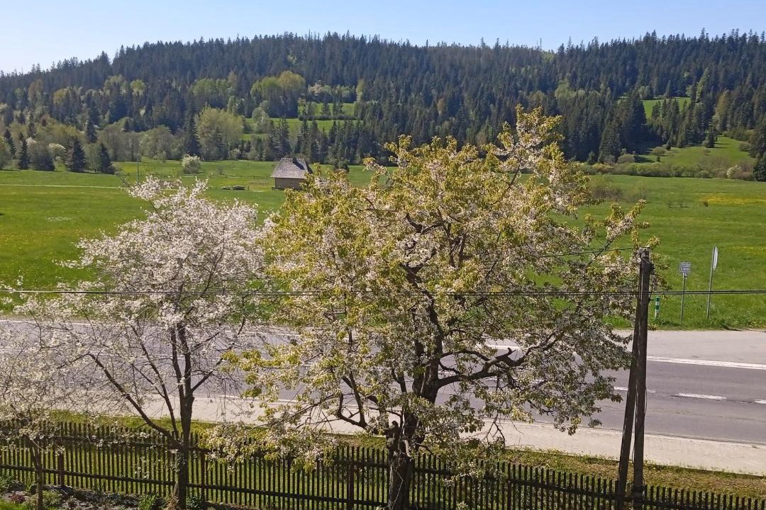 Photo of Others in Zubrzyca Gorna