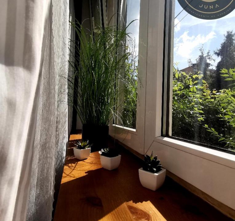Photo of Others in Pruszkow