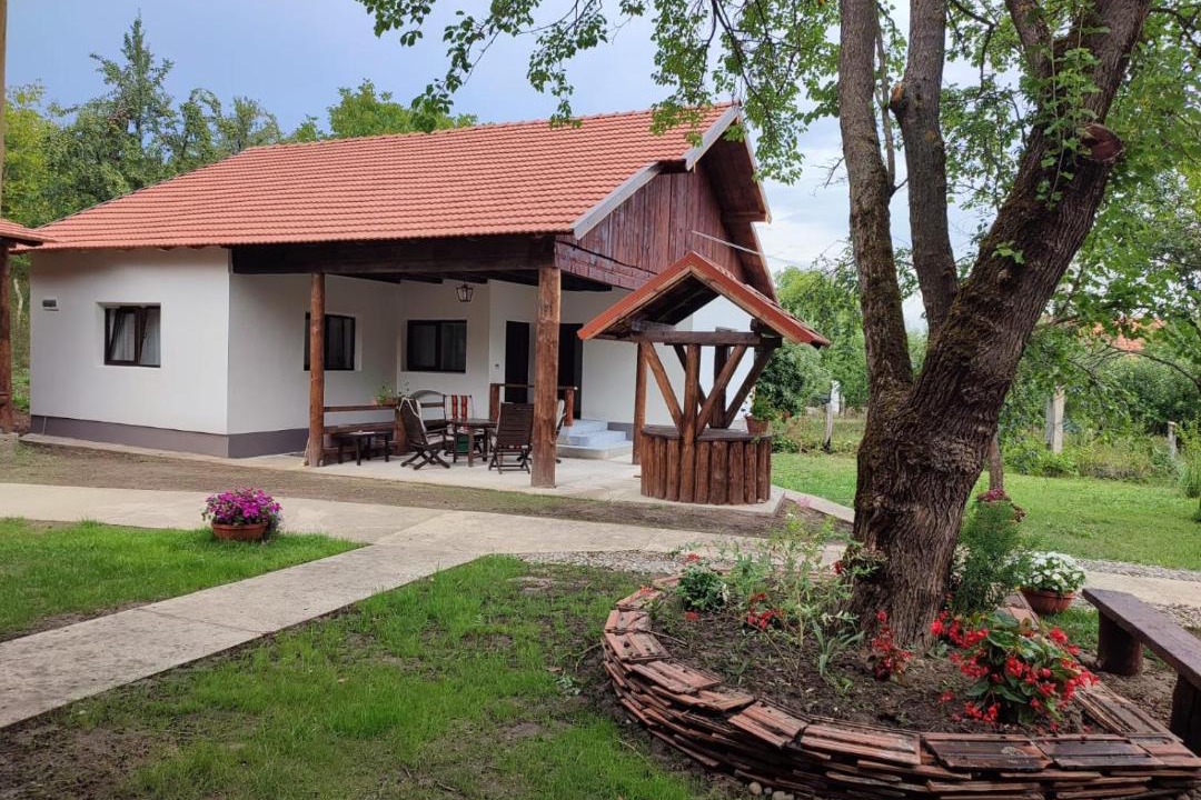 Photo of Buildings in Pesteana