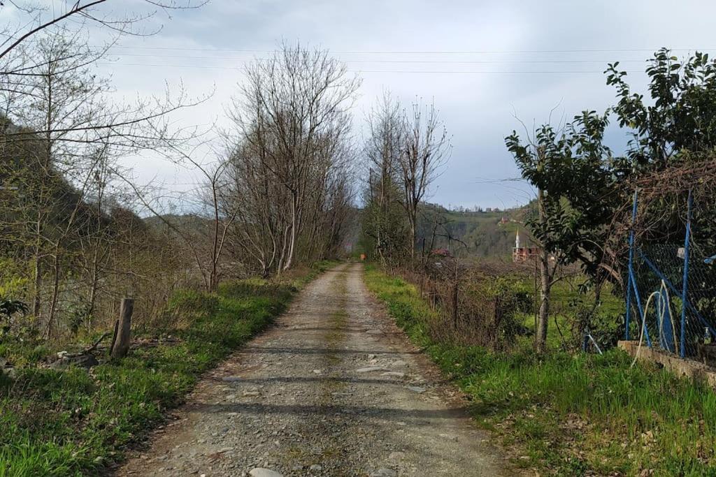 Photo of Others in Ayder
