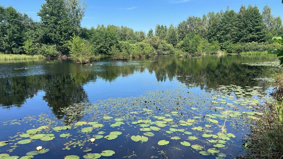 Photo of Outdoor in Pasym