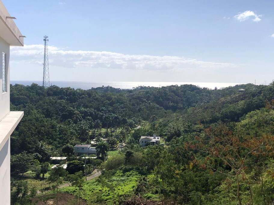 Photo of Outdoor in Puntas