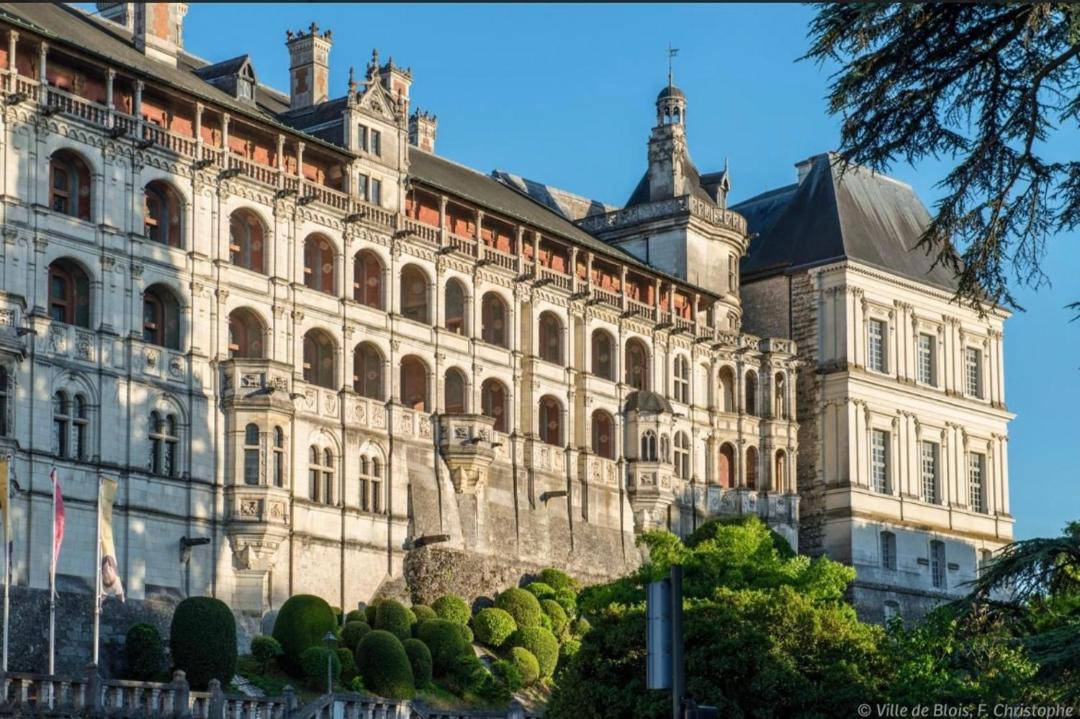 Photo of Buildings in Blois