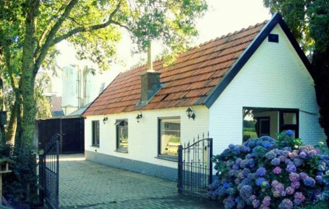 Photo of Others in Municipality of Putten