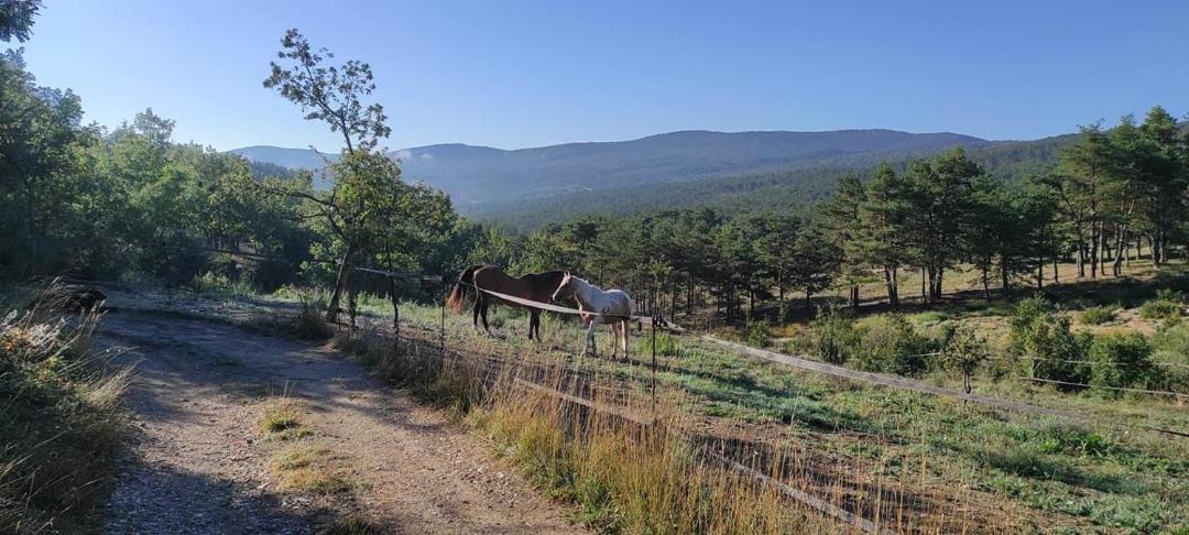 Photo of Outdoor in Trigance