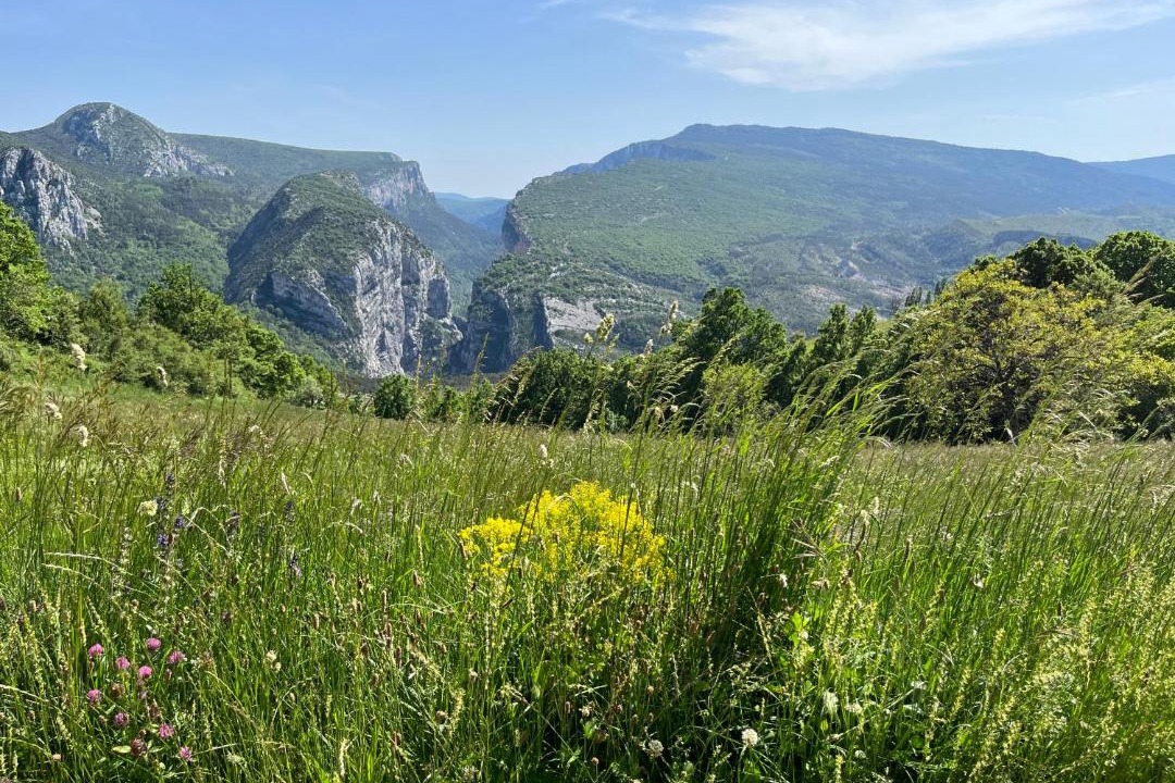 Photo of Outdoor in Trigance