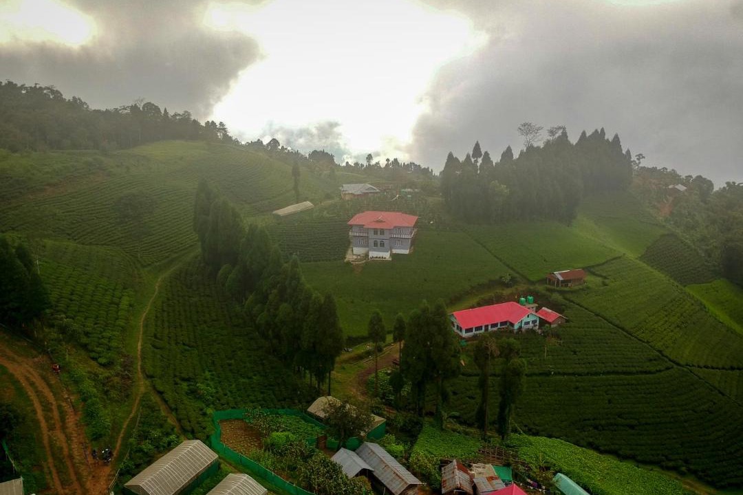Photo of Others in Namsaling