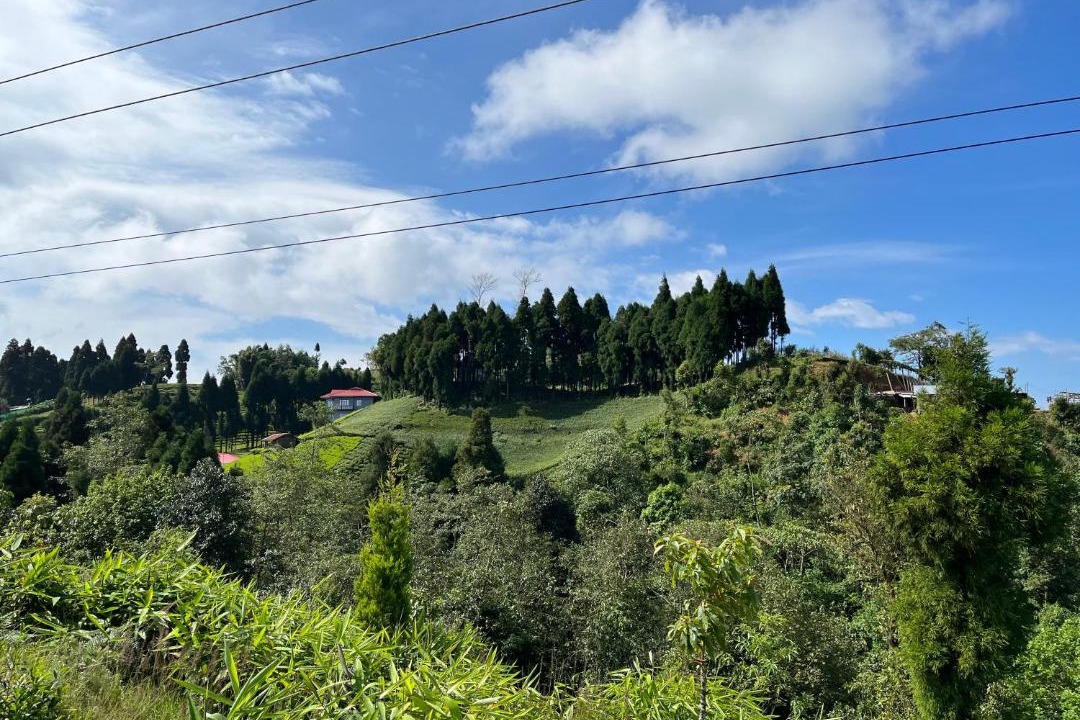 Photo of Outdoor in Namsaling