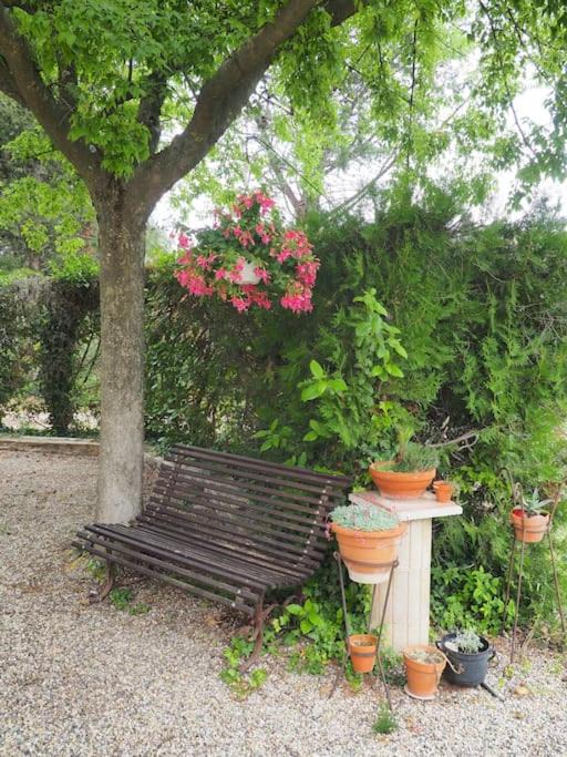 Photo of Others in Sorgues