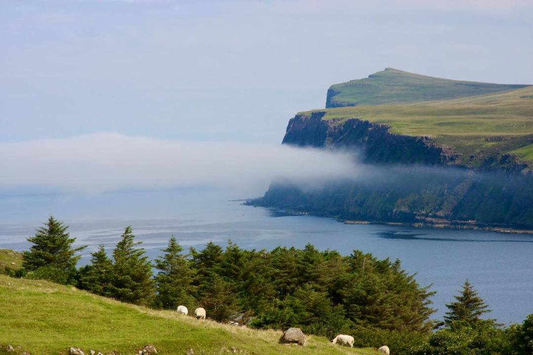 Photo of Others in Colbost