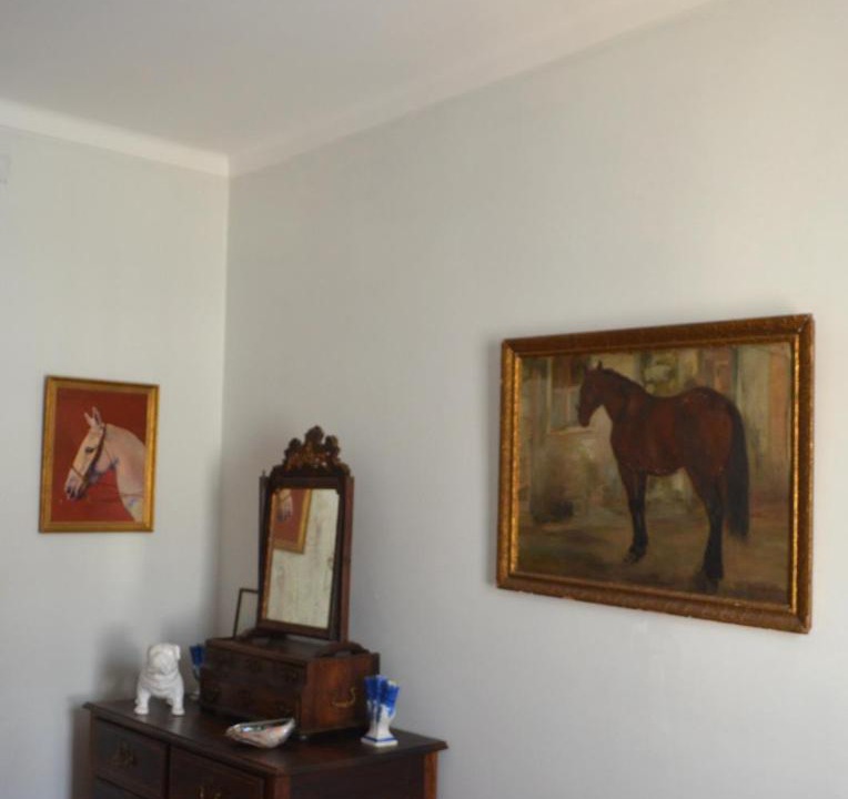 Photo of Livingroom in Pevidem