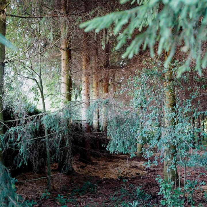 Photo of Outdoor in Sedziszowa