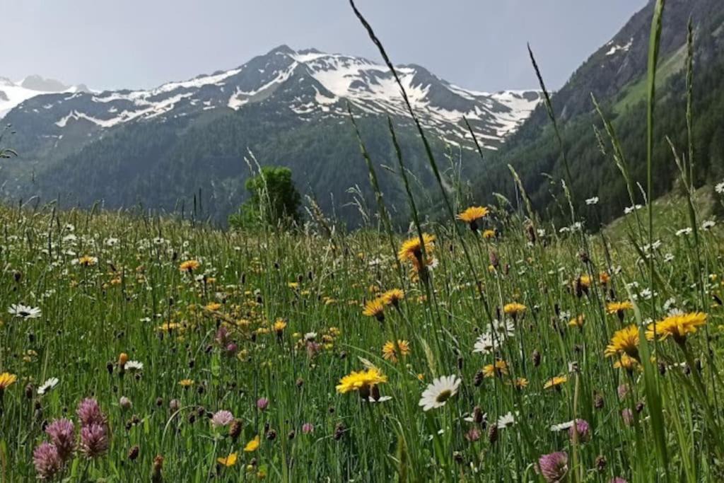Photo of Outdoor in Trient