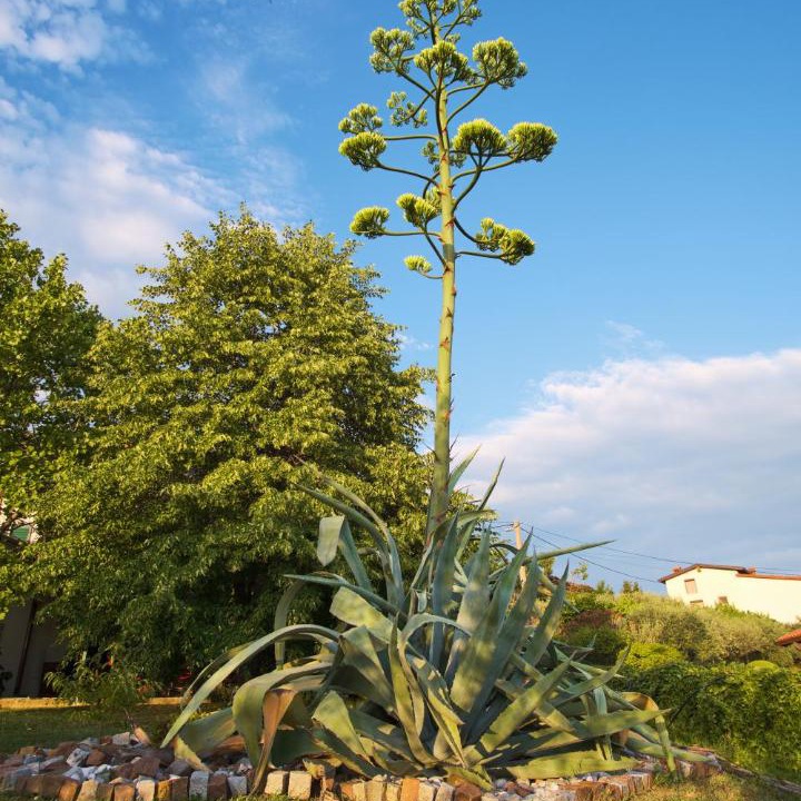 Photo of Outdoor in Brda