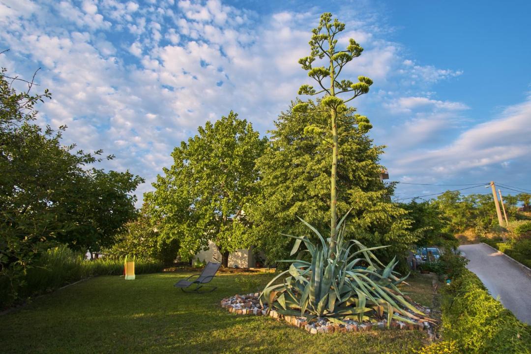 Photo of Outdoor in Brda