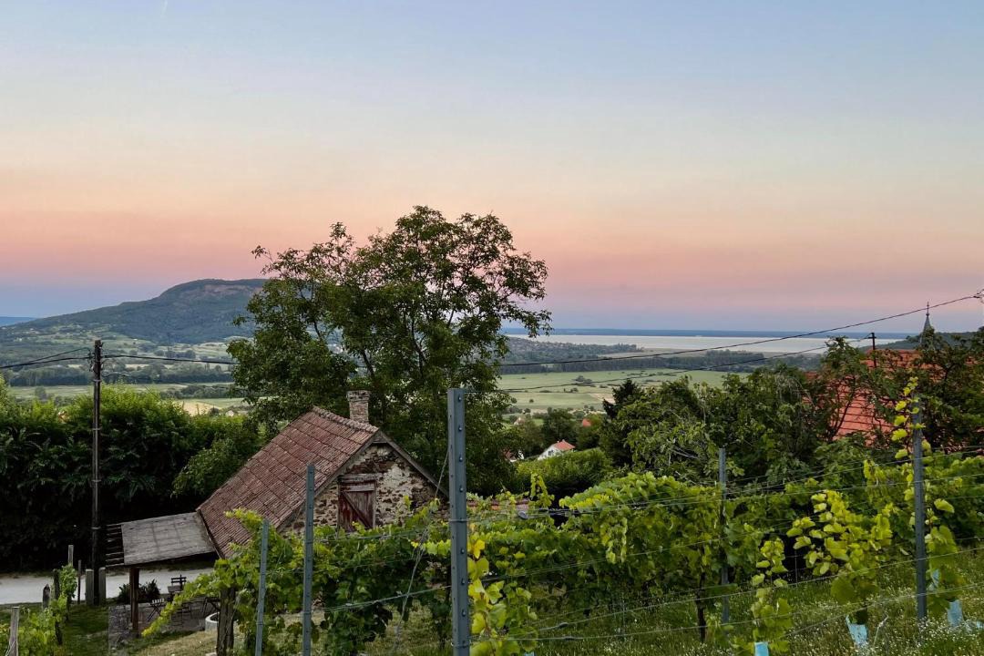Photo of Outdoor in Hegymagas