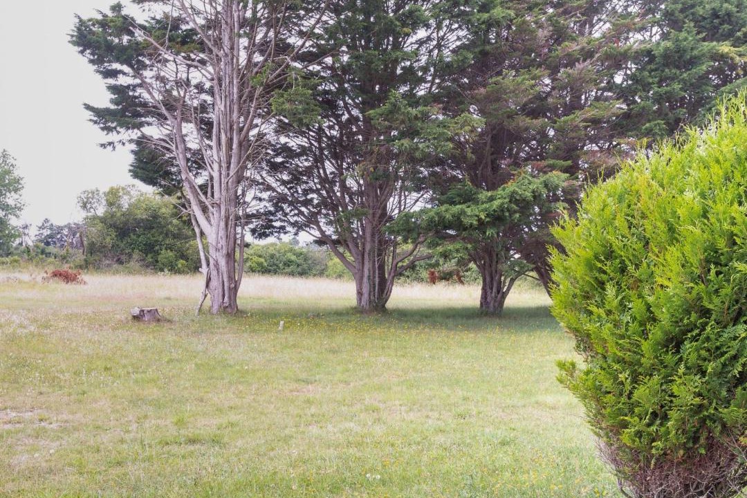 Photo of Others in Saint-Remy-des-Landes