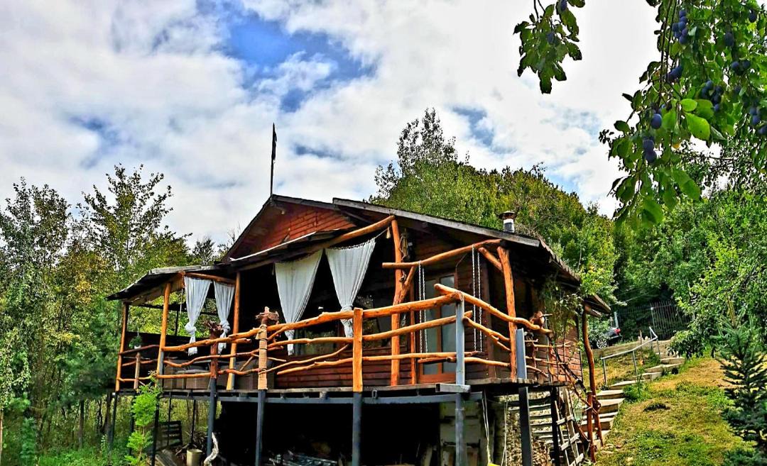 Photo of Others in Valcanesti