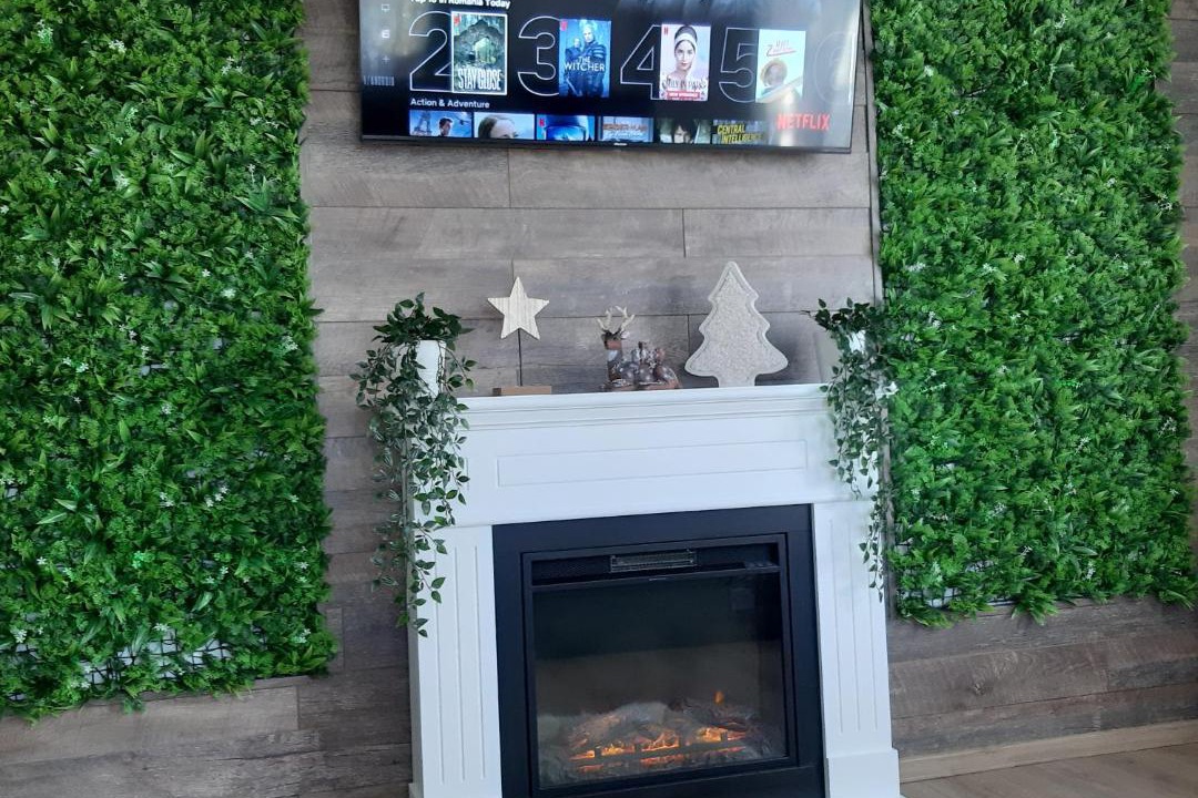 Photo of Livingroom in Ranca