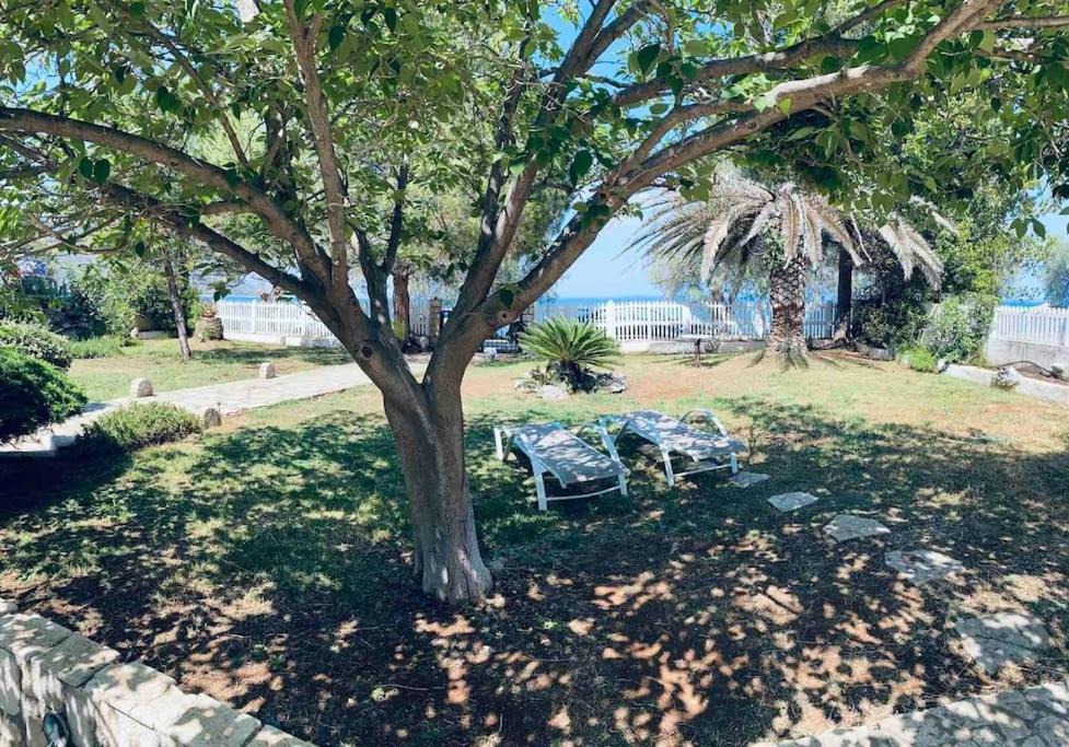 Photo of Outdoor in Melissopetra