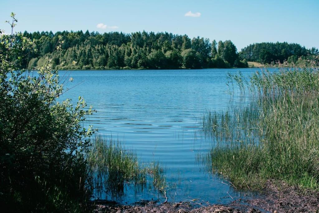 Photo of Others in Szemud