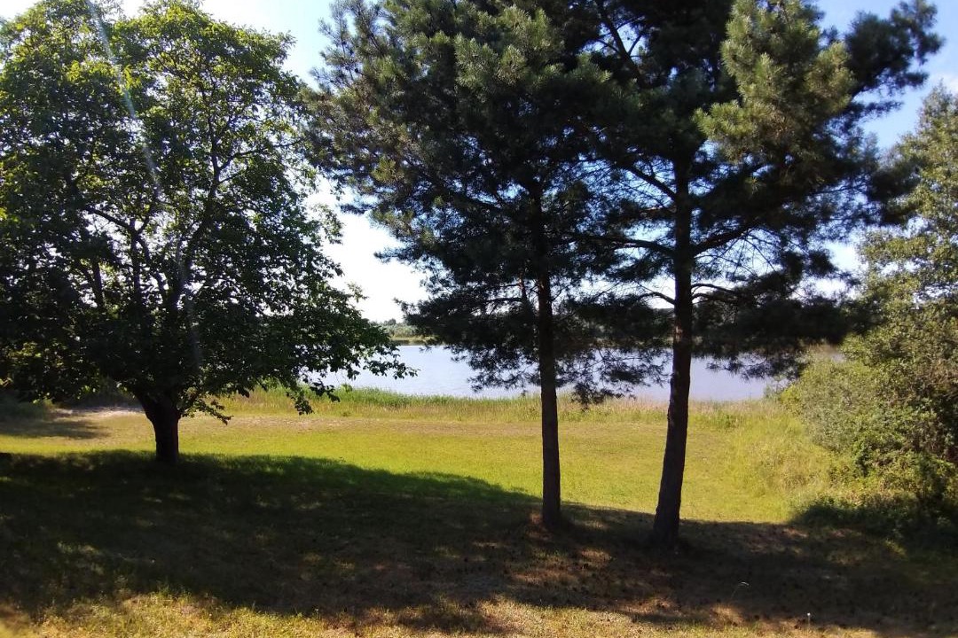 Photo of Others in Wilczogora