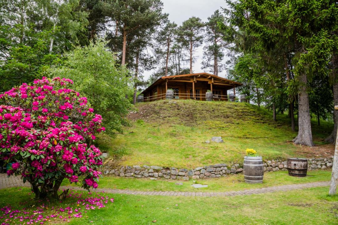 Photo of Others in Aviemore