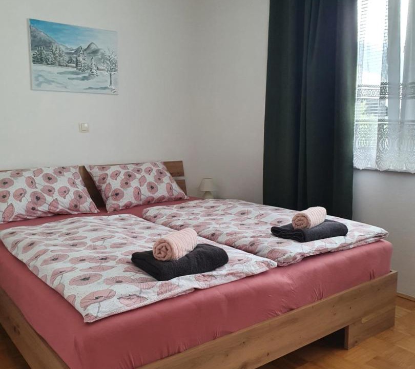Photo of Others in Mojstrana