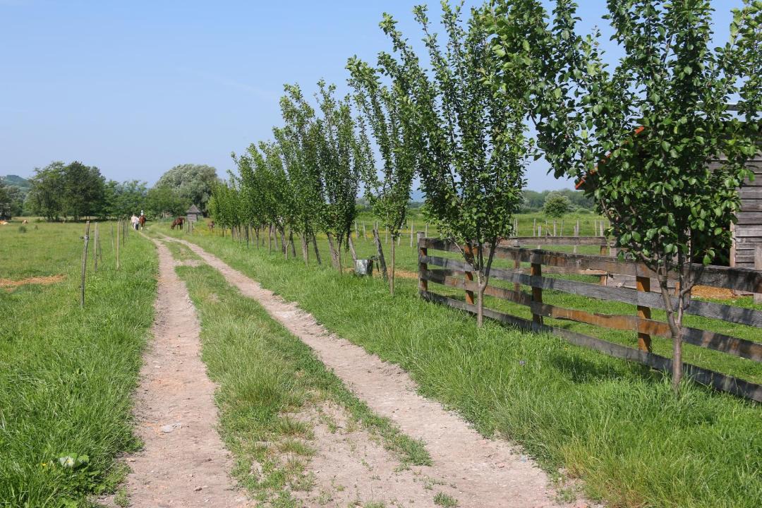 Photo of Others in Gyulakeszi