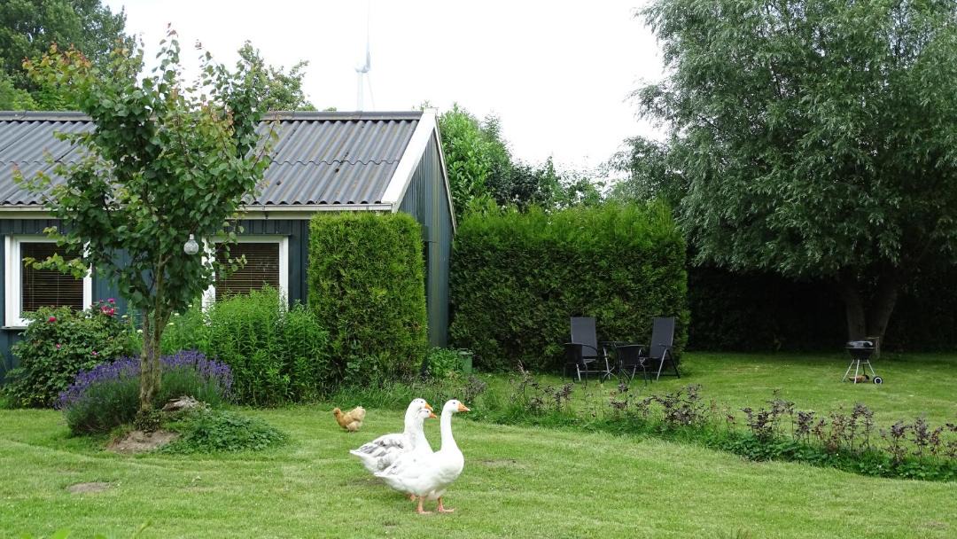 Photo of Others in Nooitgedacht