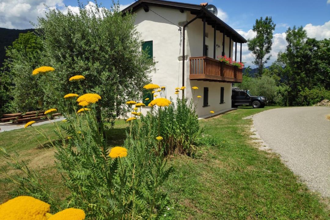 Photo of Buildings in Kanal