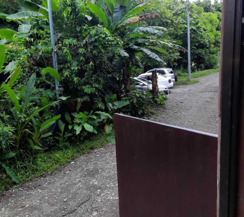 Photo of Others in Manuel Antonio