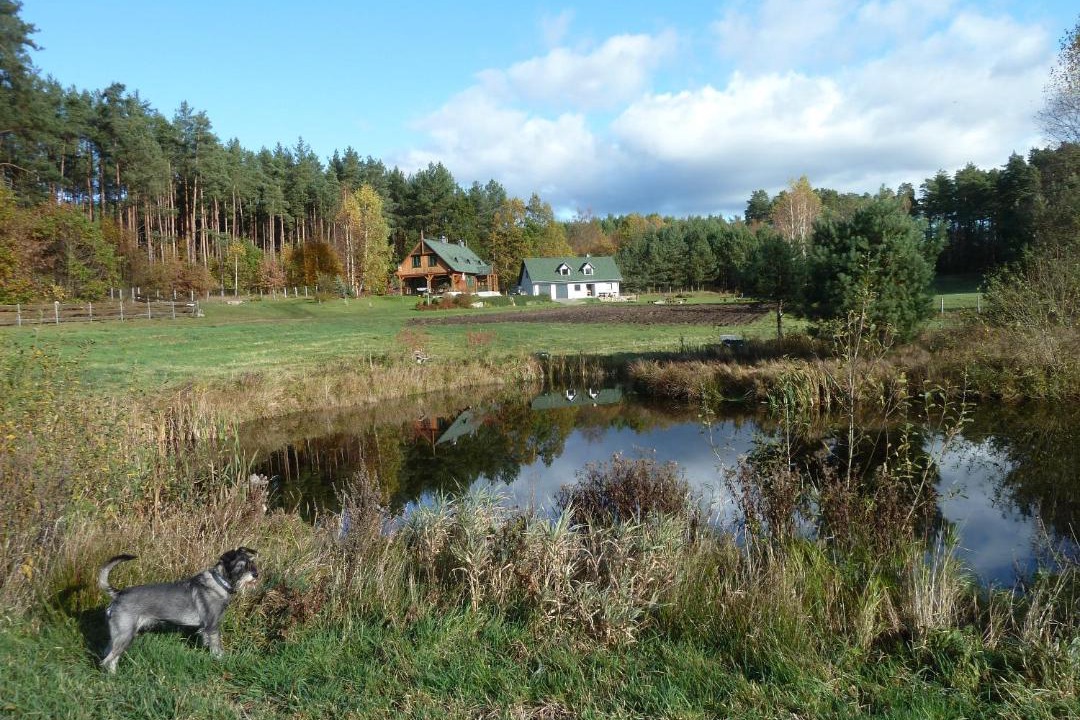 Photo of Outdoor in Wejherowo