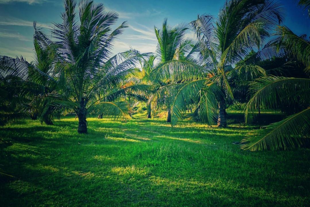 Photo of Outdoor in Kalametiya