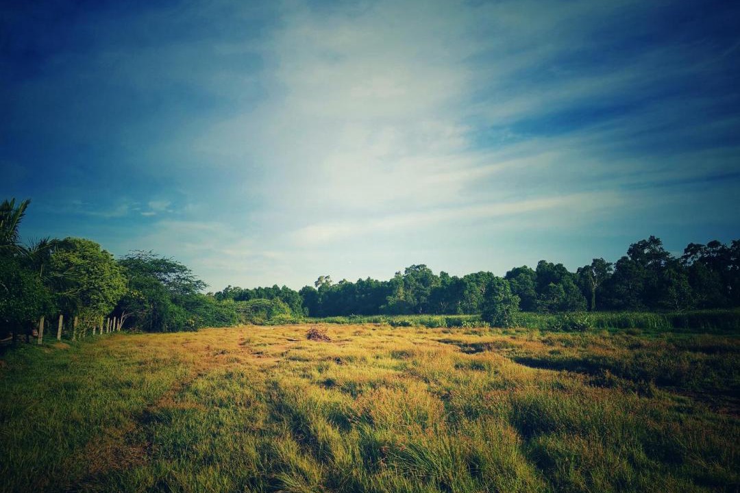 Photo of Outdoor in Kalametiya
