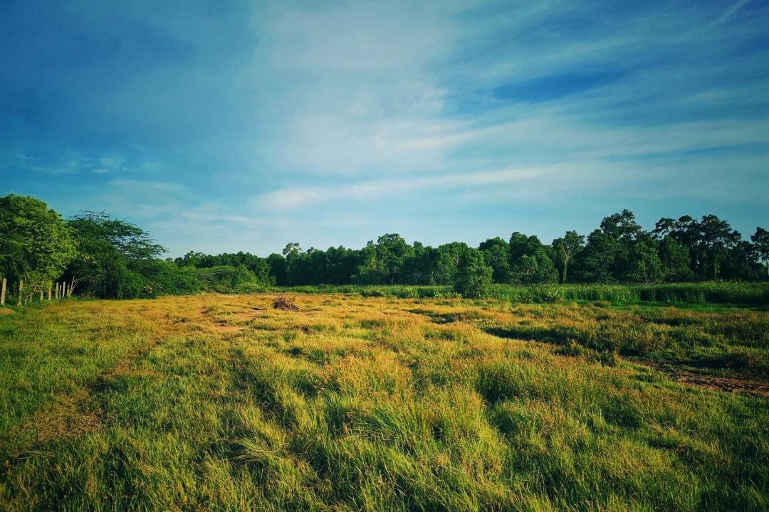 Photo of Outdoor in Kalametiya