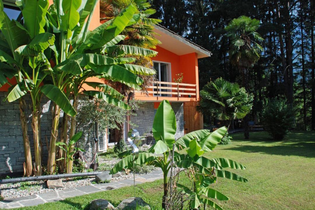 Photo of Others in Negrentino