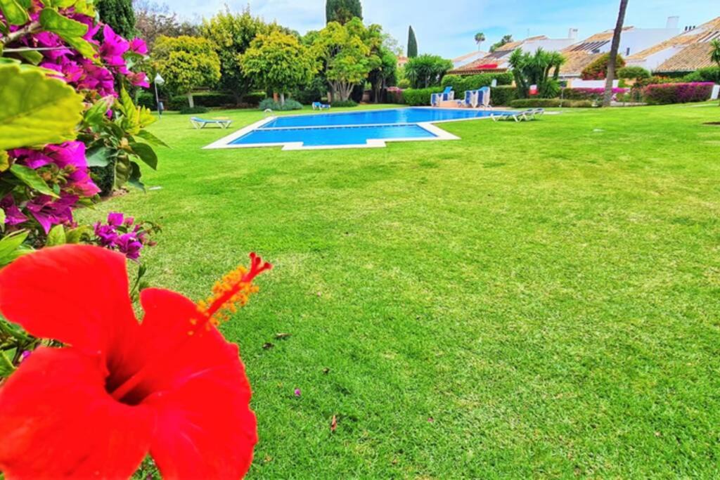 Photo of Outdoor in Guadalmina