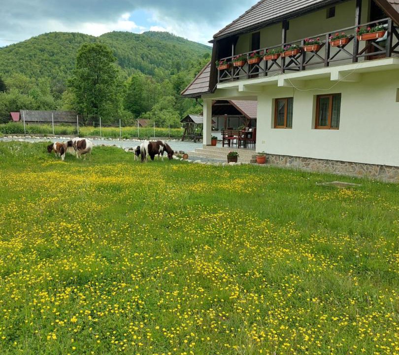Photo of Others in Avram Iancu
